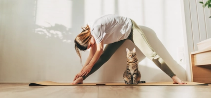 Young attractive smiling woman practicing yoga, stretching in Scorpion exercise, variation of vrischikasana pose, working out, wearing sportswear, grey pants, bra, indoor full length, home interior